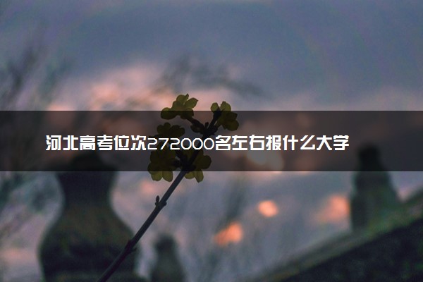 河北高考位次272000名左右报什么大学好（2025年参考）