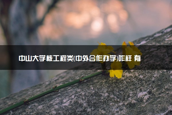 中山大学核工程类(中外合作办学)咋样 有必要读吗