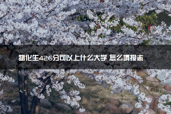 物化生426分可以上什么大学 怎么填报志愿