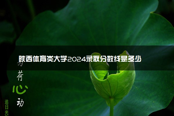 陕西体育类大学2024录取分数线是多少 什么学校好