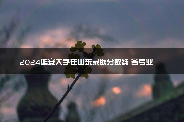 2024延安大学在山东录取分数线 各专业分数及位次