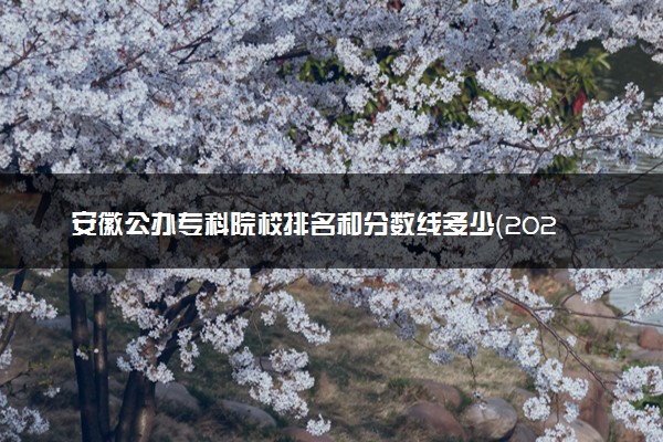 安徽公办专科院校排名和分数线多少（2025年参考）