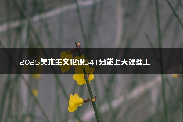 2025美术生文化课541分能上天津理工大学吗