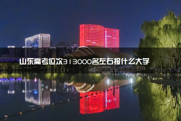 山东高考位次313000名左右报什么大学好（2025年参考）