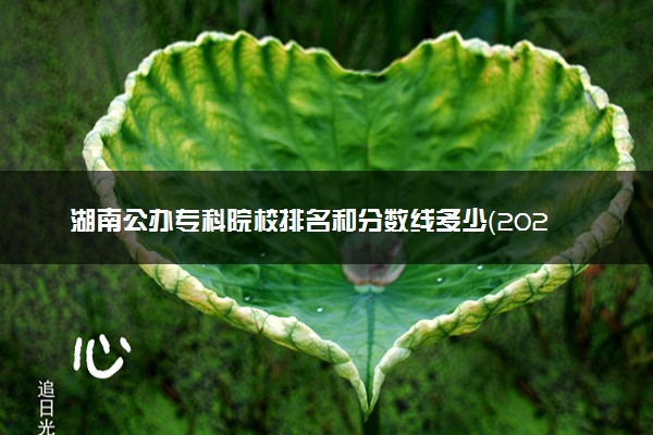 湖南公办专科院校排名和分数线多少（2025年参考）