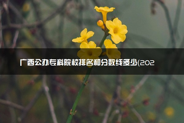 广西公办专科院校排名和分数线多少（2025年参考）