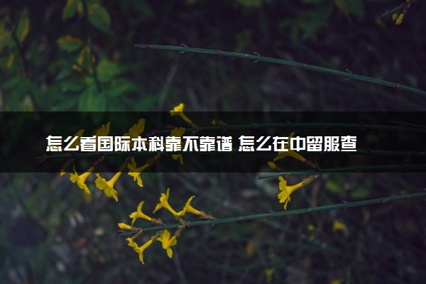 怎么看国际本科靠不靠谱 怎么在中留服查