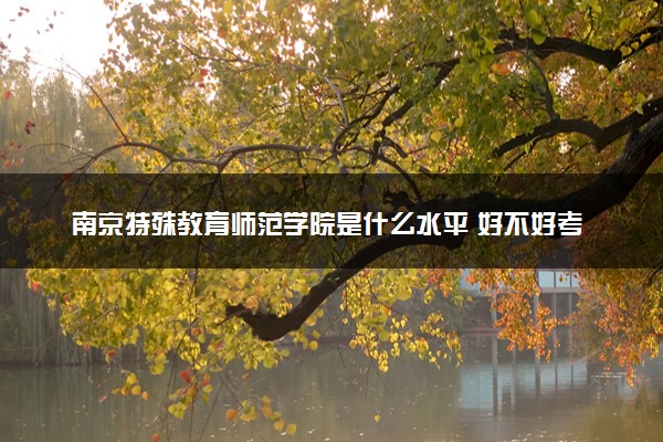 南京特殊教育师范学院是什么水平 好不好考