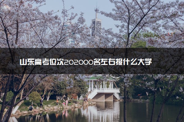 山东高考位次202000名左右报什么大学好（2025年参考）