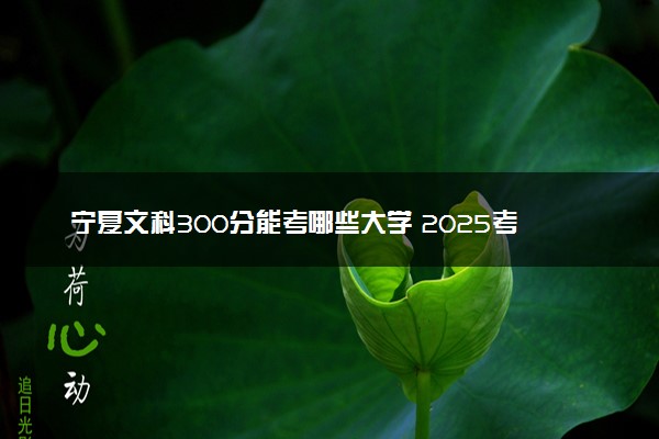 宁夏文科300分能考哪些大学 2025考生稳上的大学名单