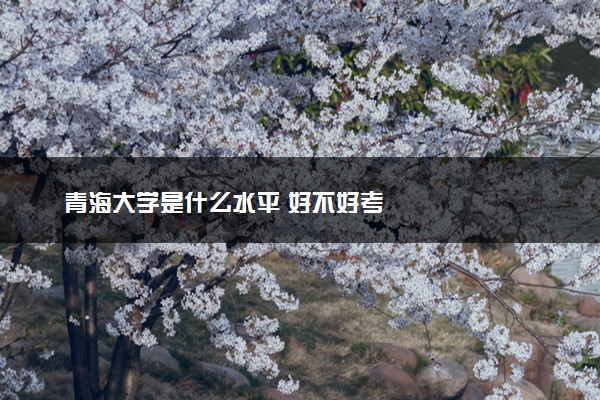 青海大学是什么水平 好不好考