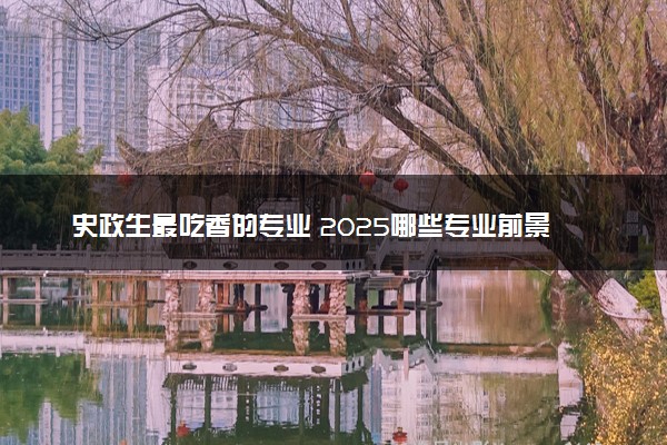 史政生最吃香的专业 2025哪些专业前景好