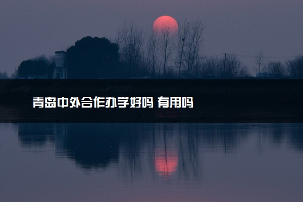 青岛中外合作办学好吗 有用吗
