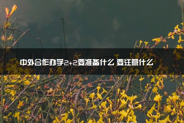 中外合作办学2+2要准备什么 要注意什么