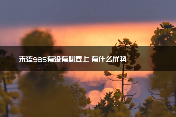 末流985有没有必要上 有什么优势