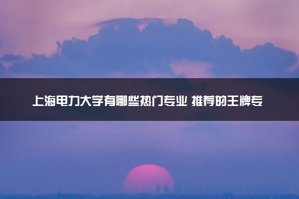 上海电力大学有哪些热门专业 推荐的王牌专业