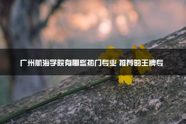 广州航海学院有哪些热门专业 推荐的王牌专业
