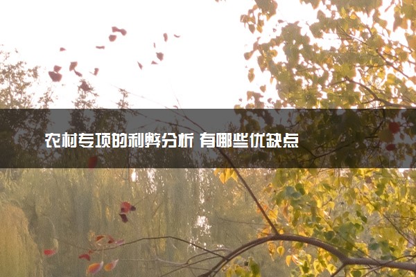 农村专项的利弊分析 有哪些优缺点