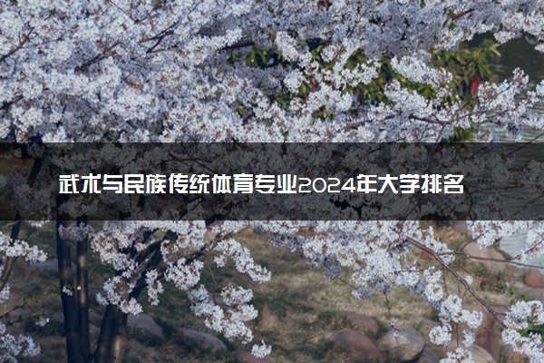 武术与民族传统体育专业2024年大学排名 最好的大学排行榜