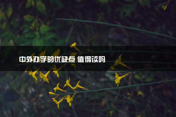 中外办学的优缺点 值得读吗