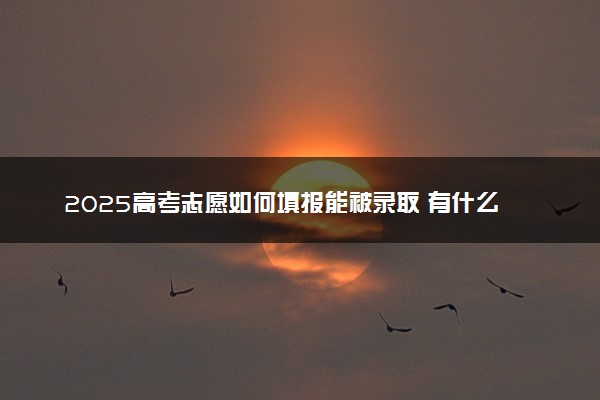2025高考志愿如何填报能被录取 有什么报考技巧