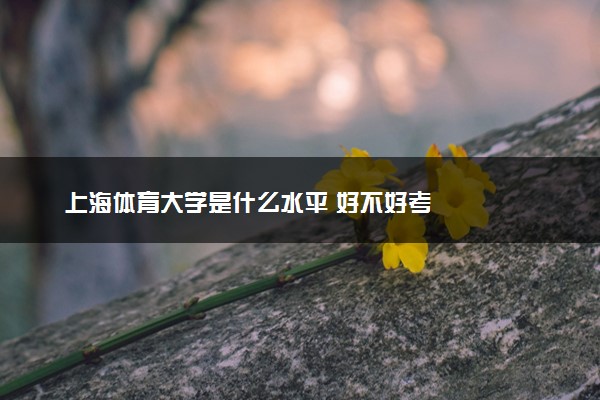 上海体育大学是什么水平 好不好考