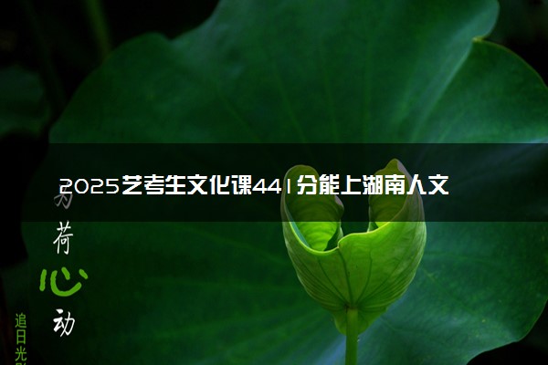 2025艺考生文化课441分能上湖南人文科技学院吗
