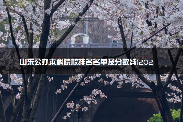 山东公办本科院校排名名单及分数线(2025年参考)