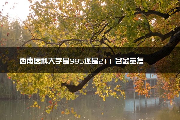 西南医科大学是985还是211 含金量怎么样