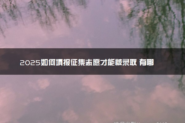 2025如何填报征集志愿才能被录取 有哪些技巧