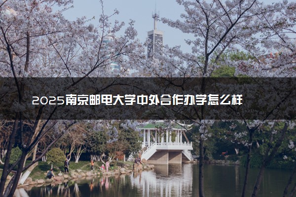 2025南京邮电大学中外合作办学怎么样 录取率高吗