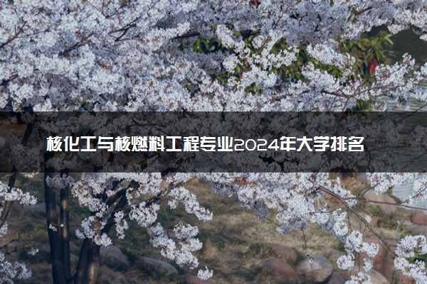 核化工与核燃料工程专业2024年大学排名 最好的大学排行榜