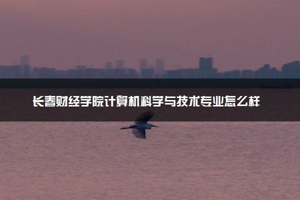 长春财经学院计算机科学与技术专业怎么样 录取分数线多少