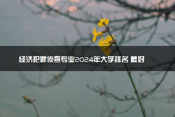 经济犯罪侦查专业2024年大学排名 最好的大学排行榜