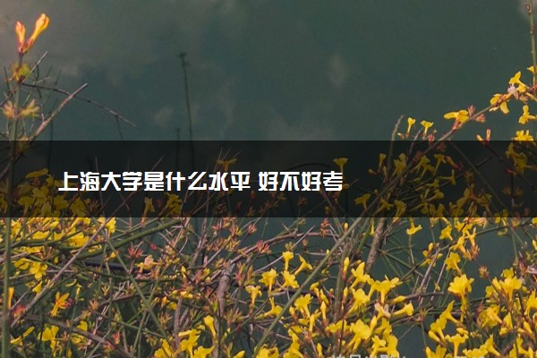 上海大学是什么水平 好不好考