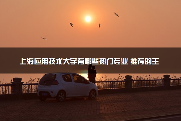 上海应用技术大学有哪些热门专业 推荐的王牌专业