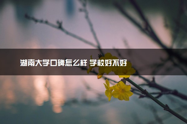 湖南大学口碑怎么样 学校好不好