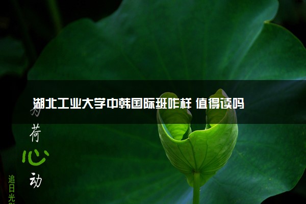 湖北工业大学中韩国际班咋样 值得读吗