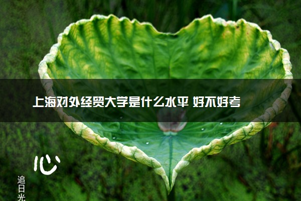 上海对外经贸大学是什么水平 好不好考