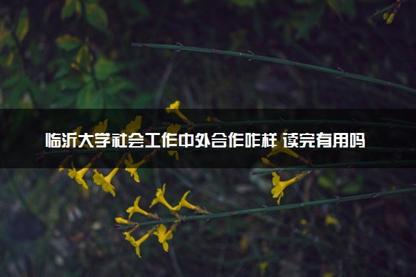临沂大学社会工作中外合作咋样 读完有用吗