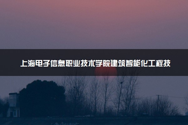 上海电子信息职业技术学院建筑智能化工程技术（楼宇智能化方向）专业怎么样 录取分数线多少