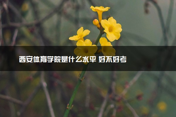 西安体育学院是什么水平 好不好考