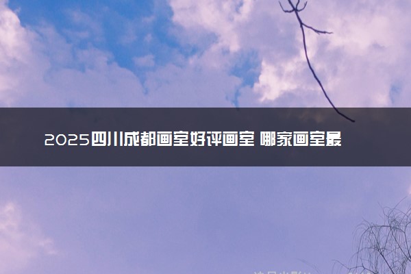 2025四川成都画室好评画室 哪家画室最值得信赖