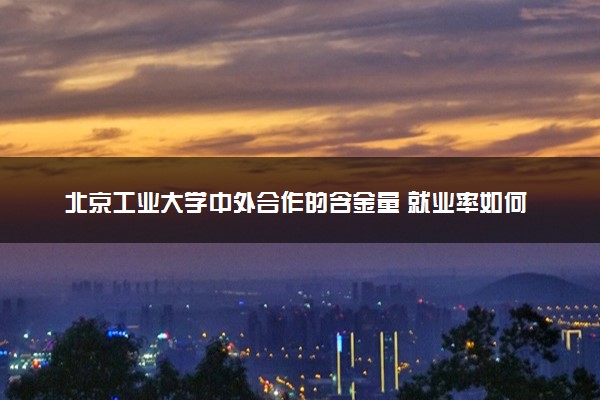 北京工业大学中外合作的含金量 就业率如何