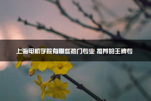 上海电机学院有哪些热门专业 推荐的王牌专业