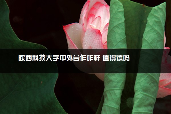 陕西科技大学中外合作咋样 值得读吗