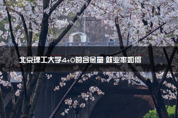 北京理工大学4+0的含金量 就业率如何