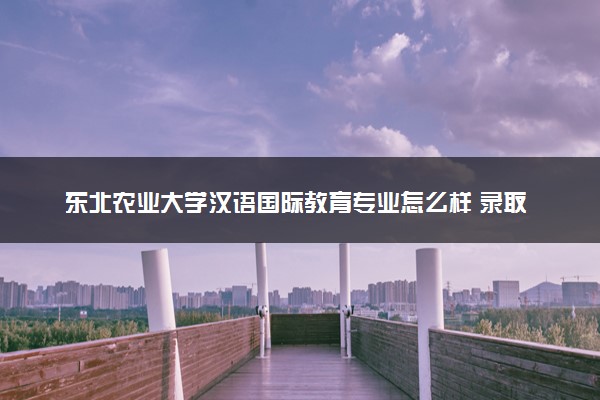 东北农业大学汉语国际教育专业怎么样 录取分数线多少