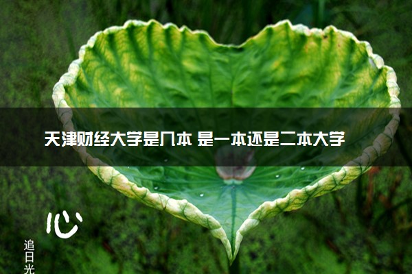 天津财经大学是几本 是一本还是二本大学