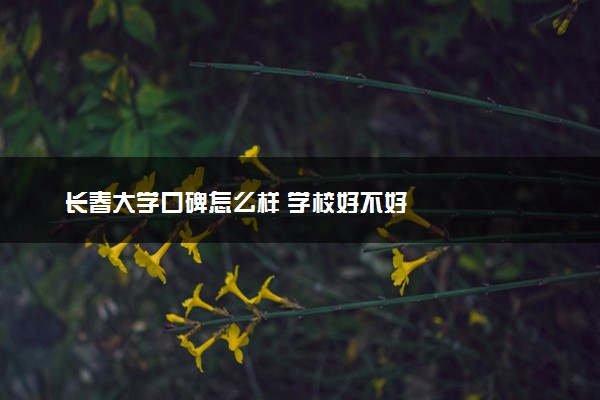 长春大学口碑怎么样 学校好不好